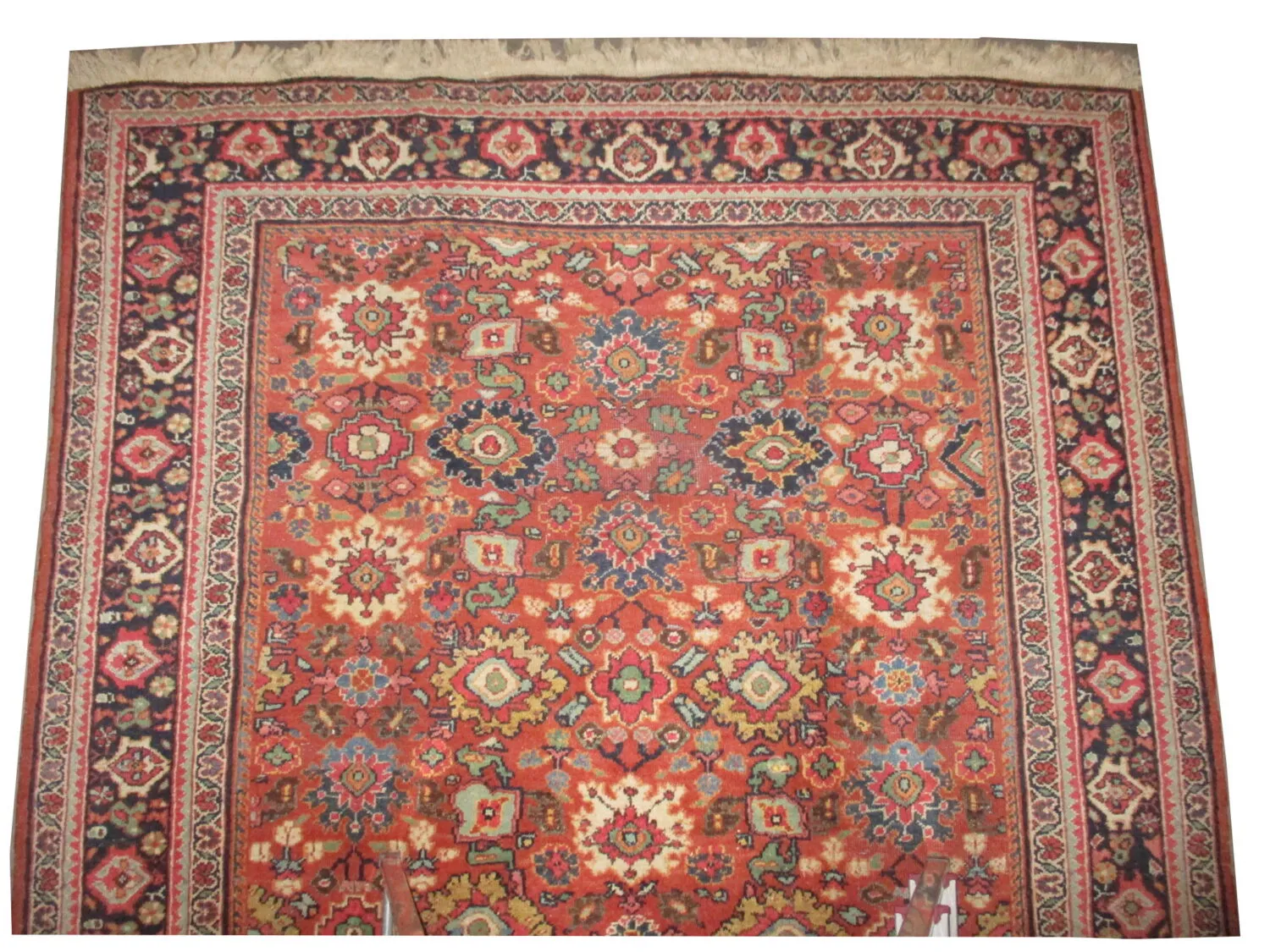 Mahal Persian - Image 2