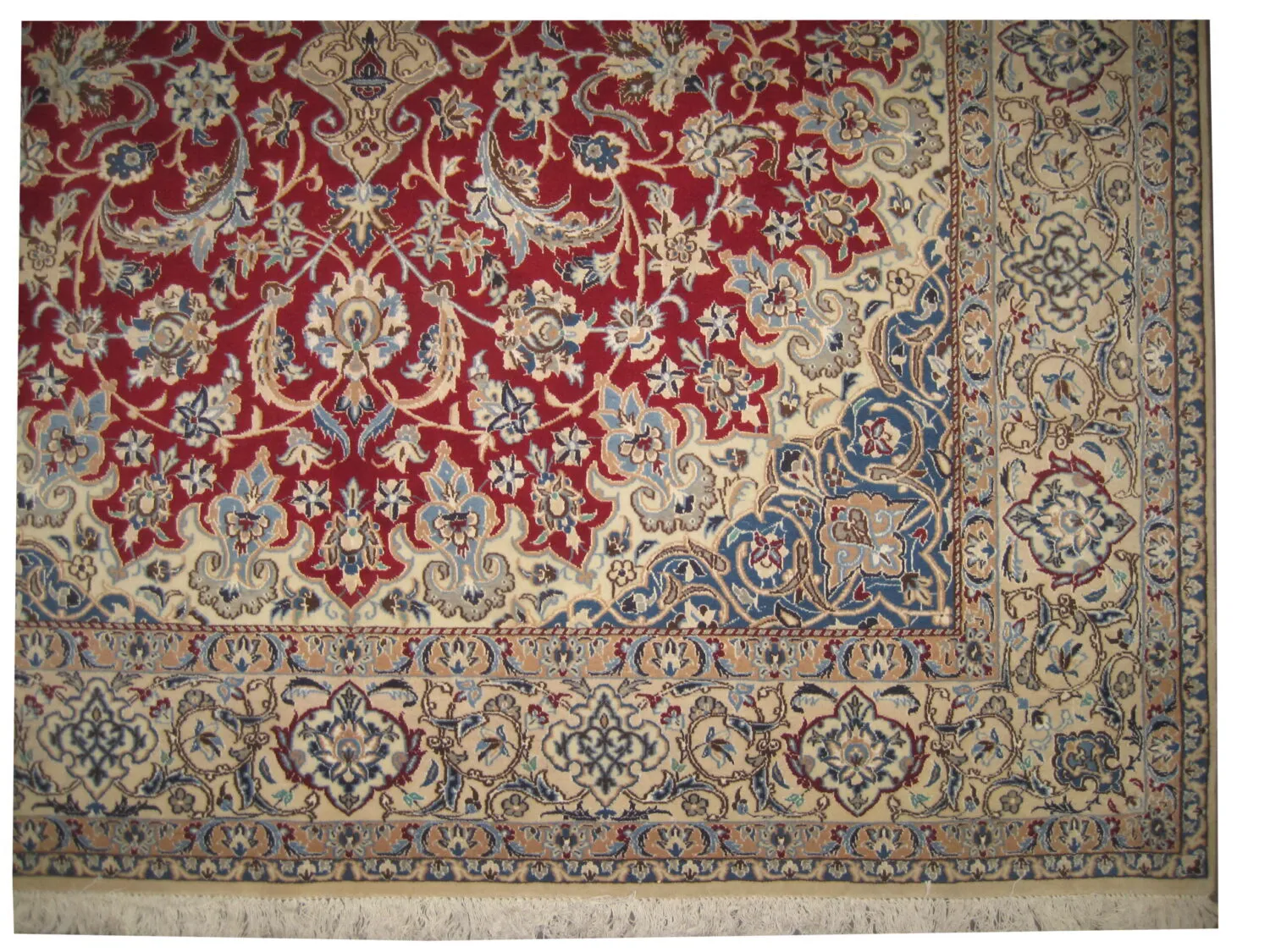Nain with silk Persian - Image 3