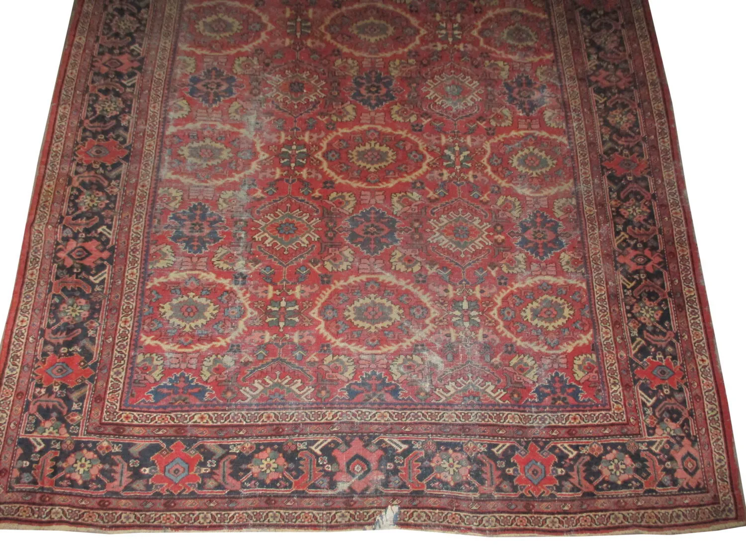 Mahal Persian - Image 3