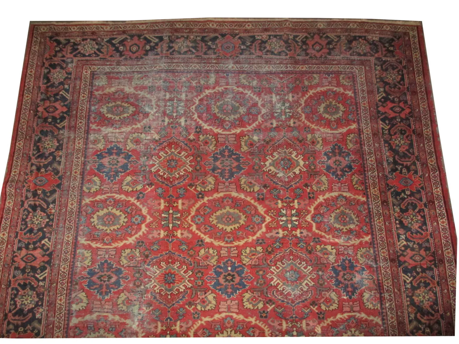Mahal Persian - Image 2