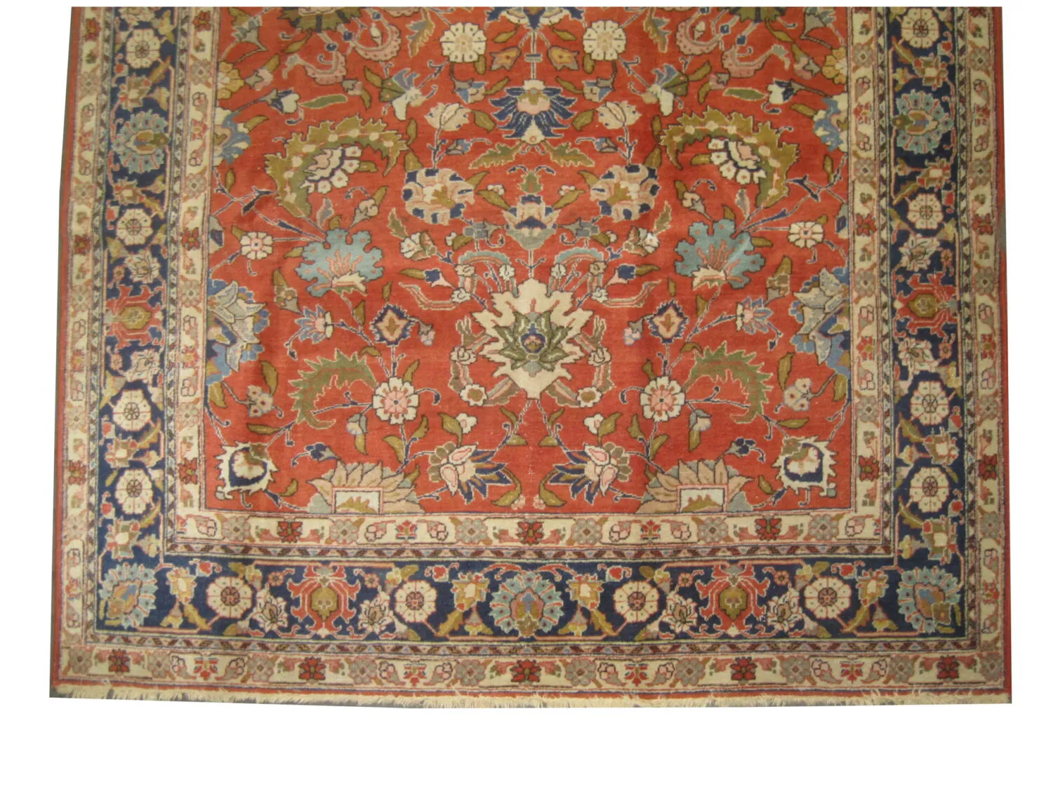 Tabriz Persian - Image 4