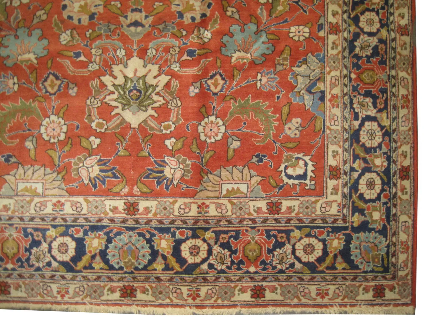 Tabriz Persian - Image 3