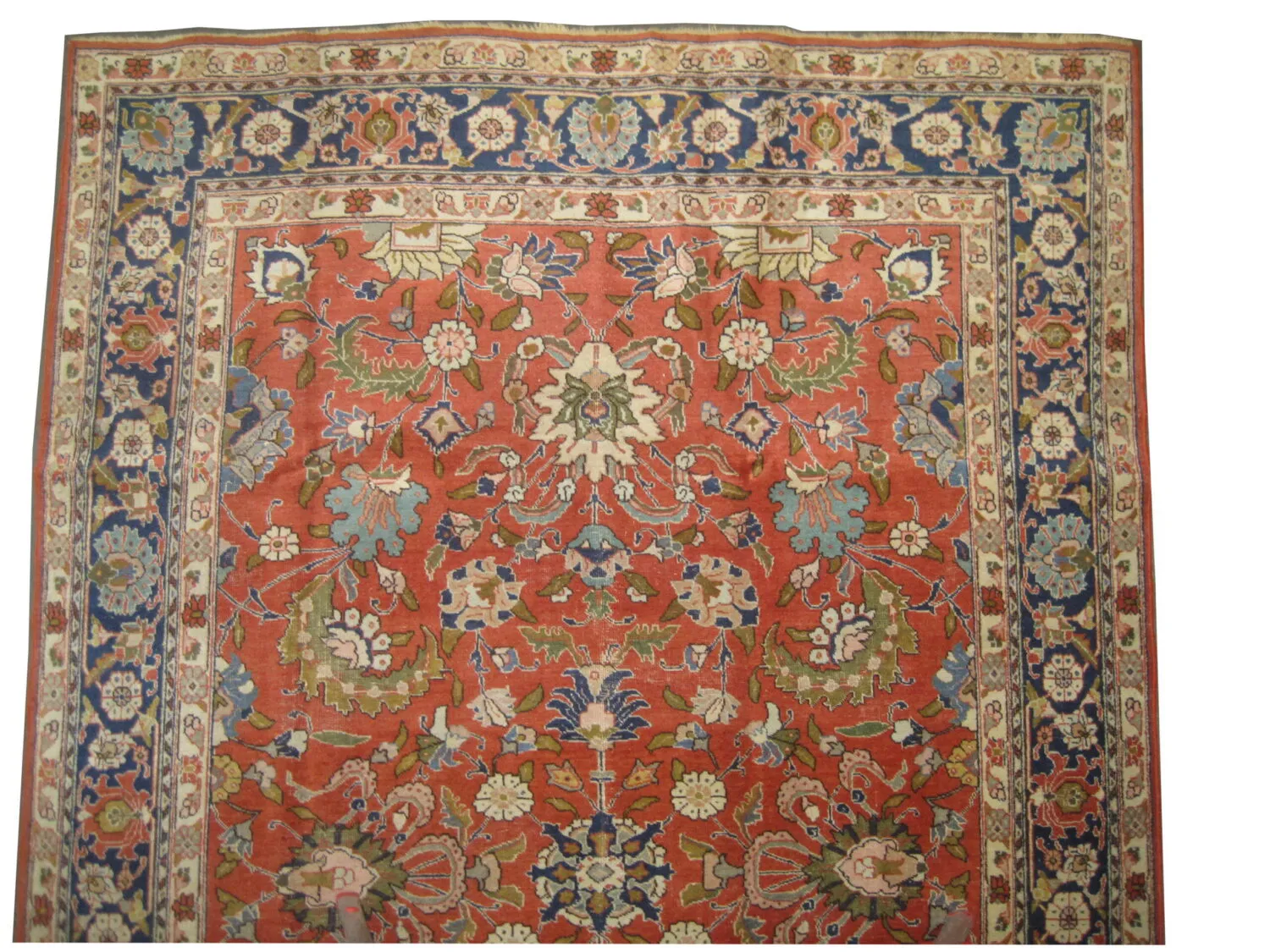 Tabriz Persian - Image 2