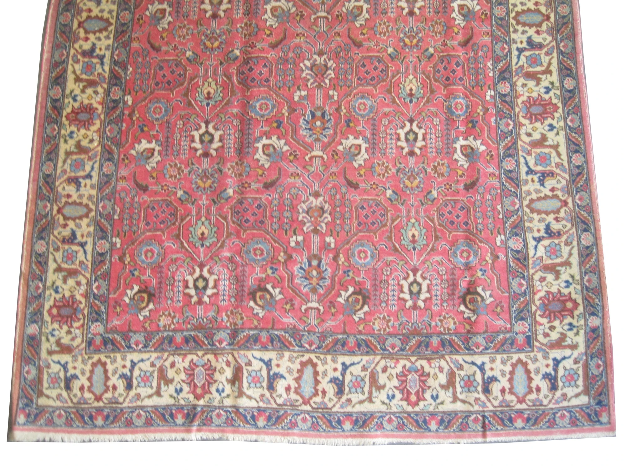 Tabriz Persian - Image 2