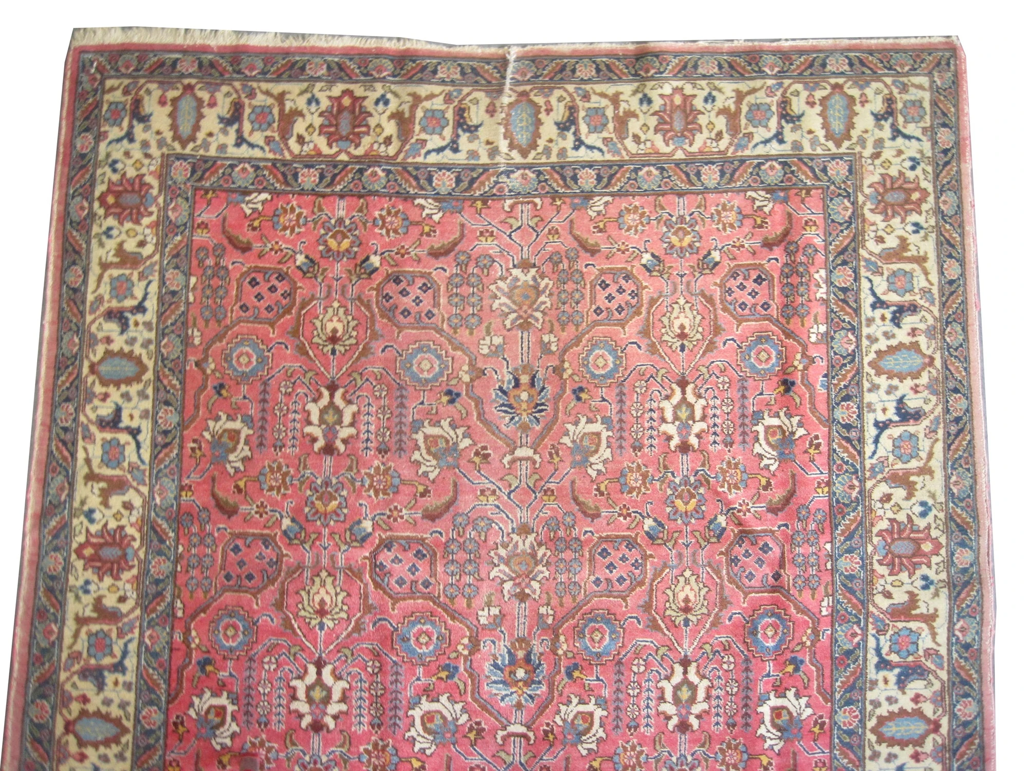 Tabriz Persian - Image 3