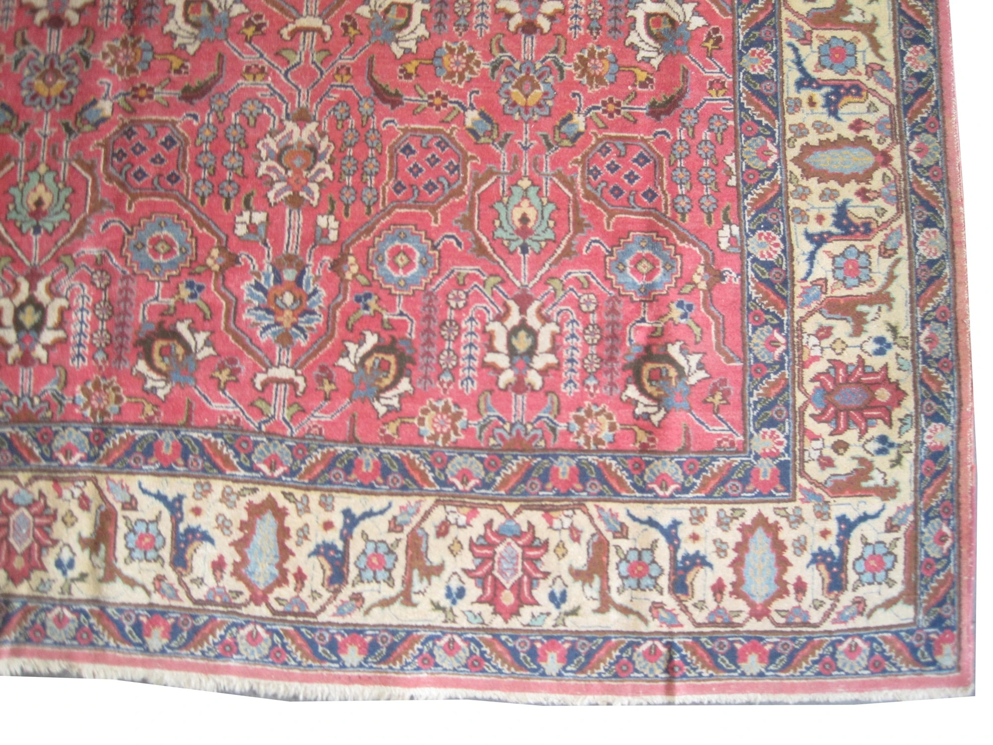 Tabriz Persian - Image 4