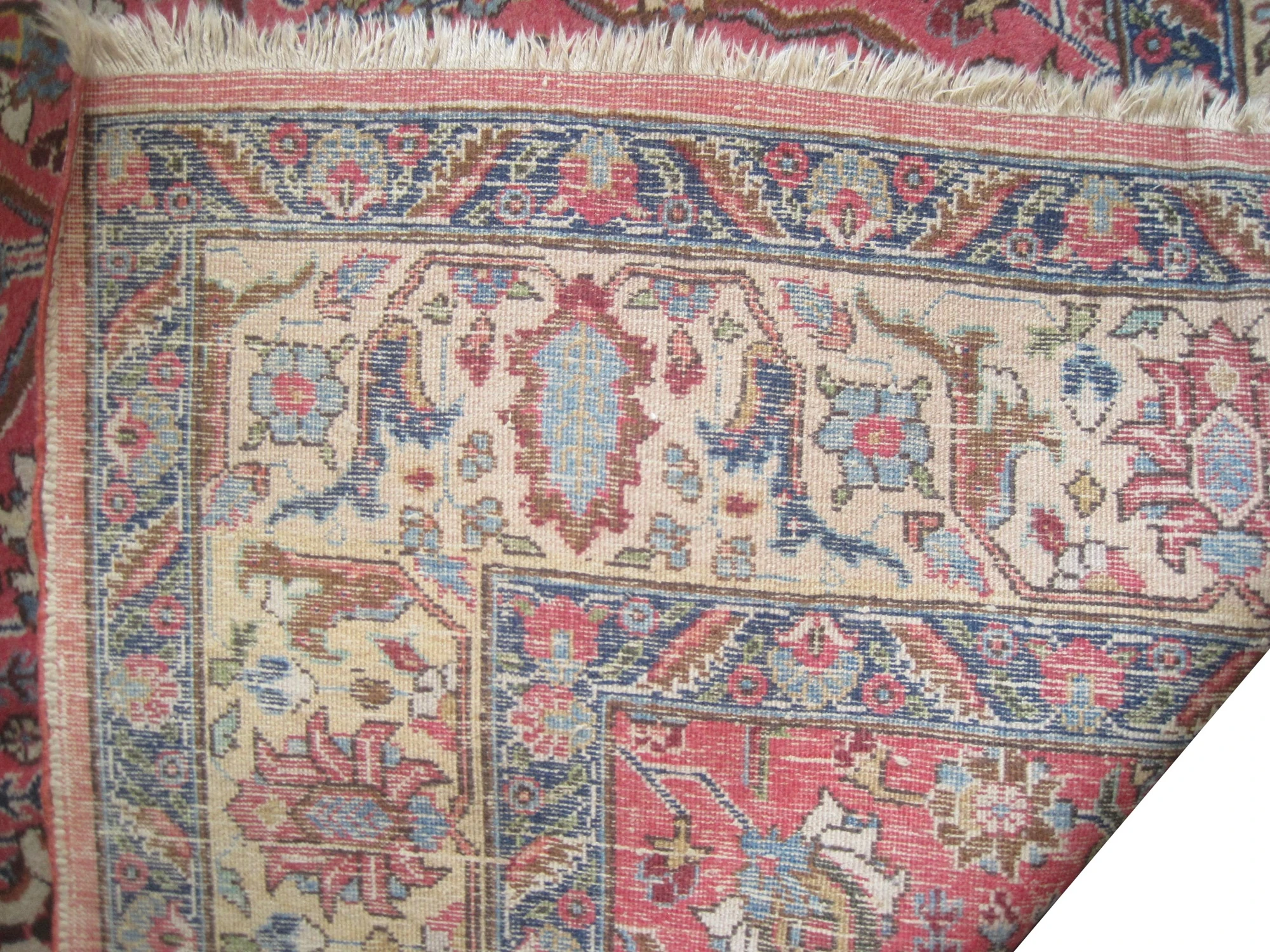 Tabriz Persian - Image 5