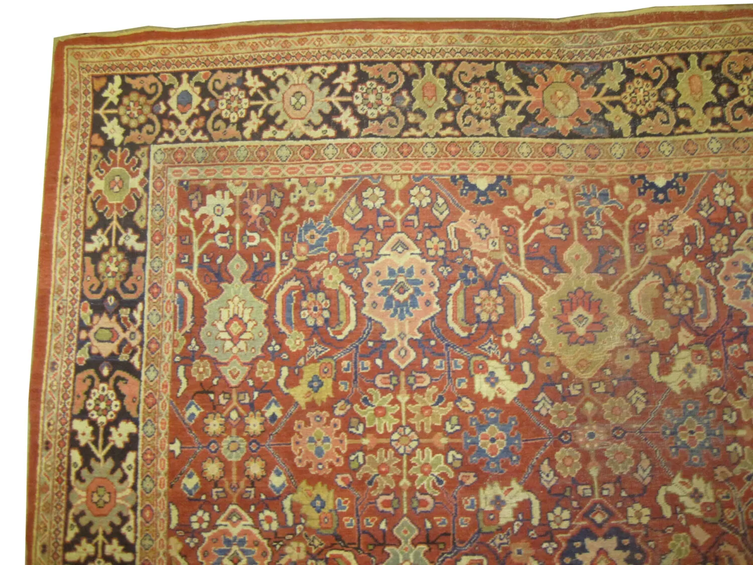 Mahal Persian - Image 2