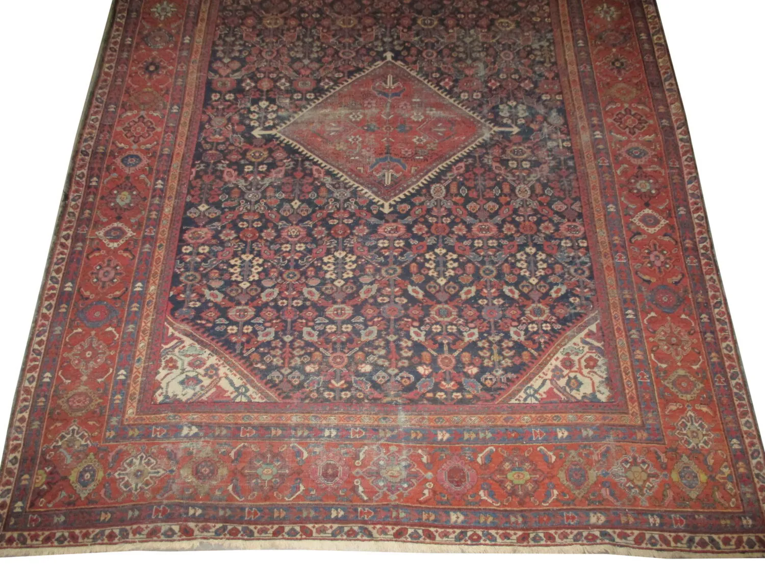 Mahal Persian - Image 3