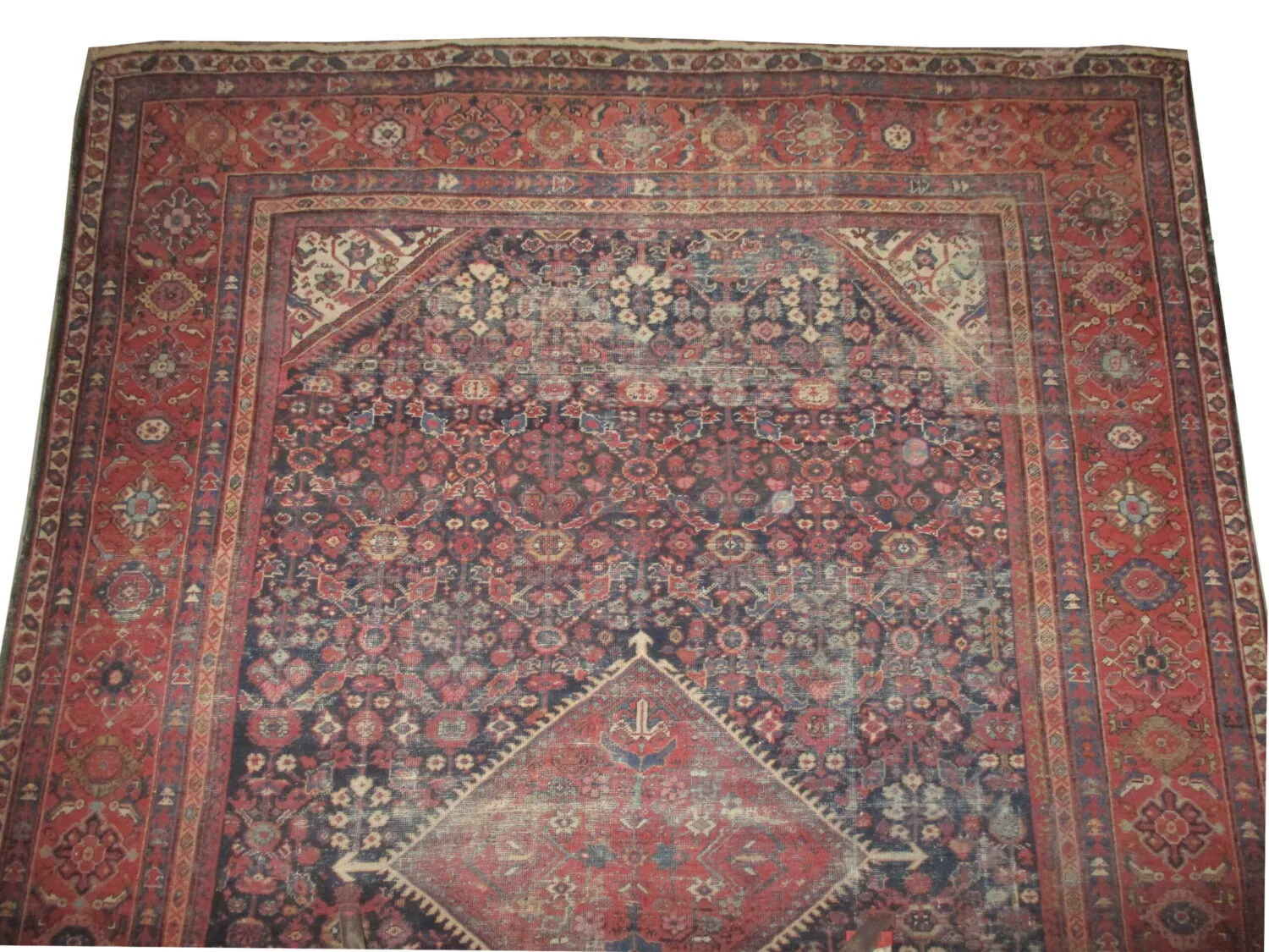 Mahal Persian - Image 2