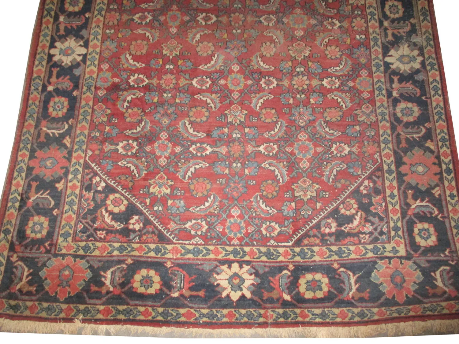 Mahal Persian - Image 3