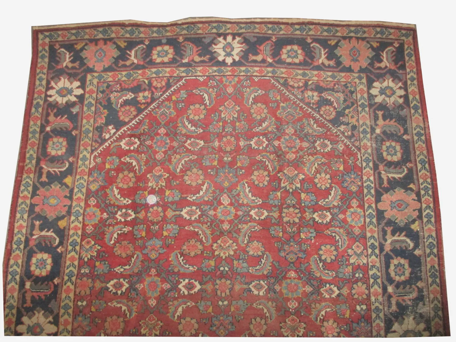 Mahal Persian - Image 2