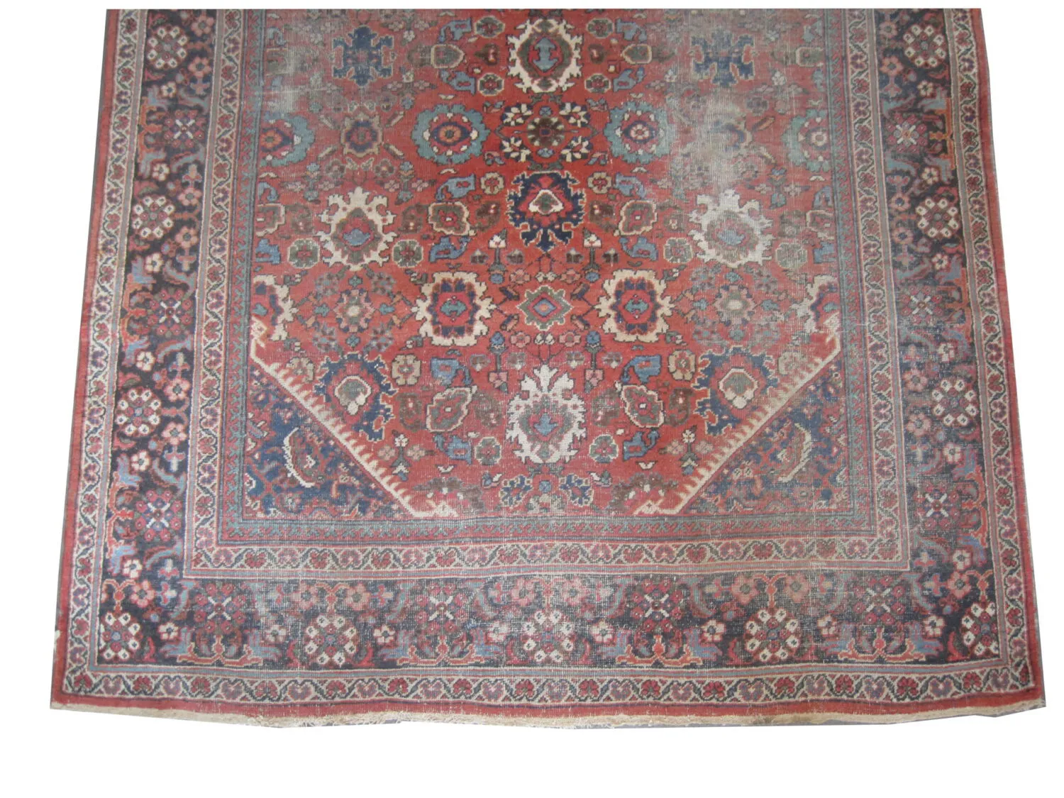 Mahal Persian - Image 2