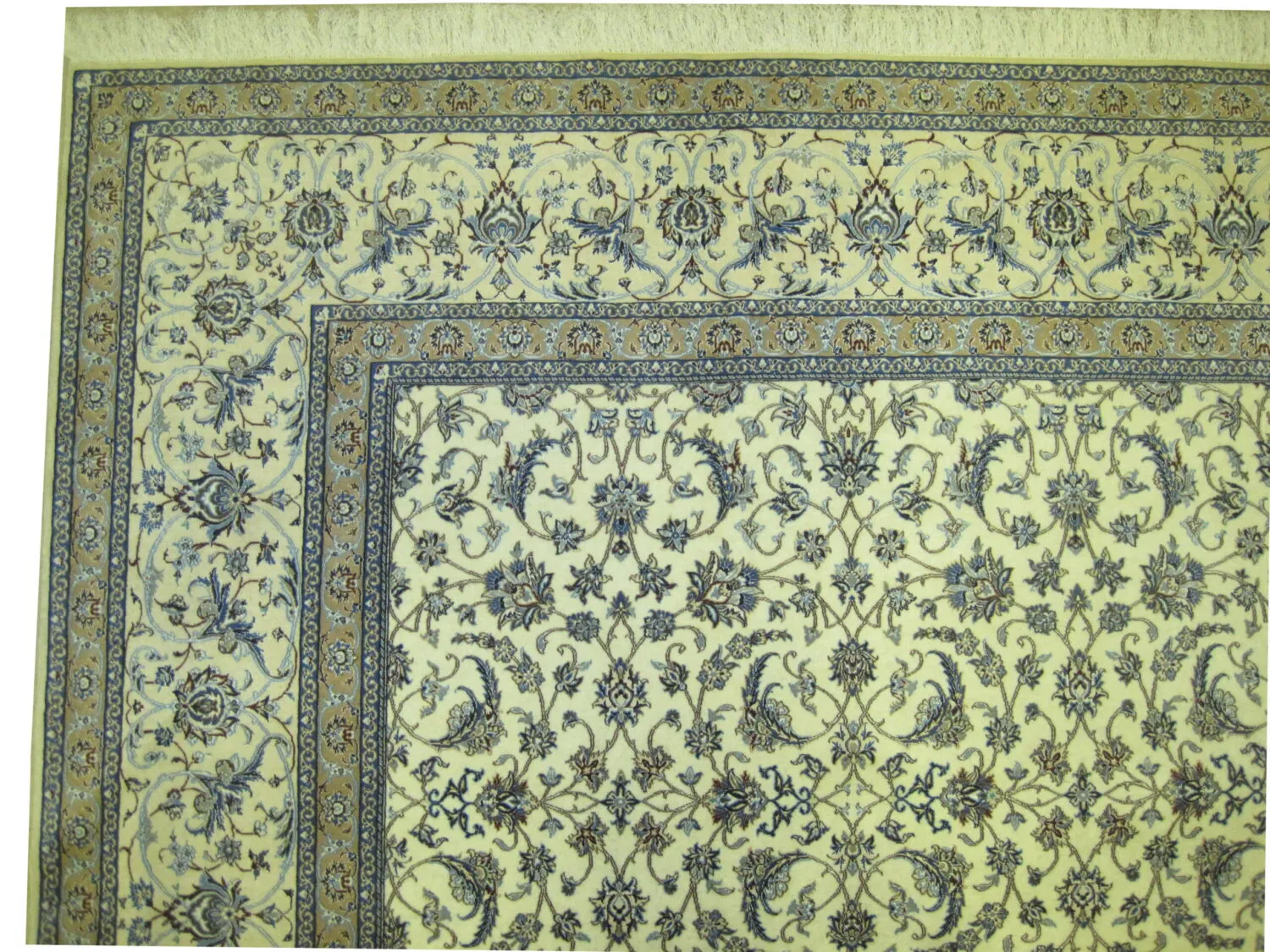 Nain Habibian with silk Persian - Image 2