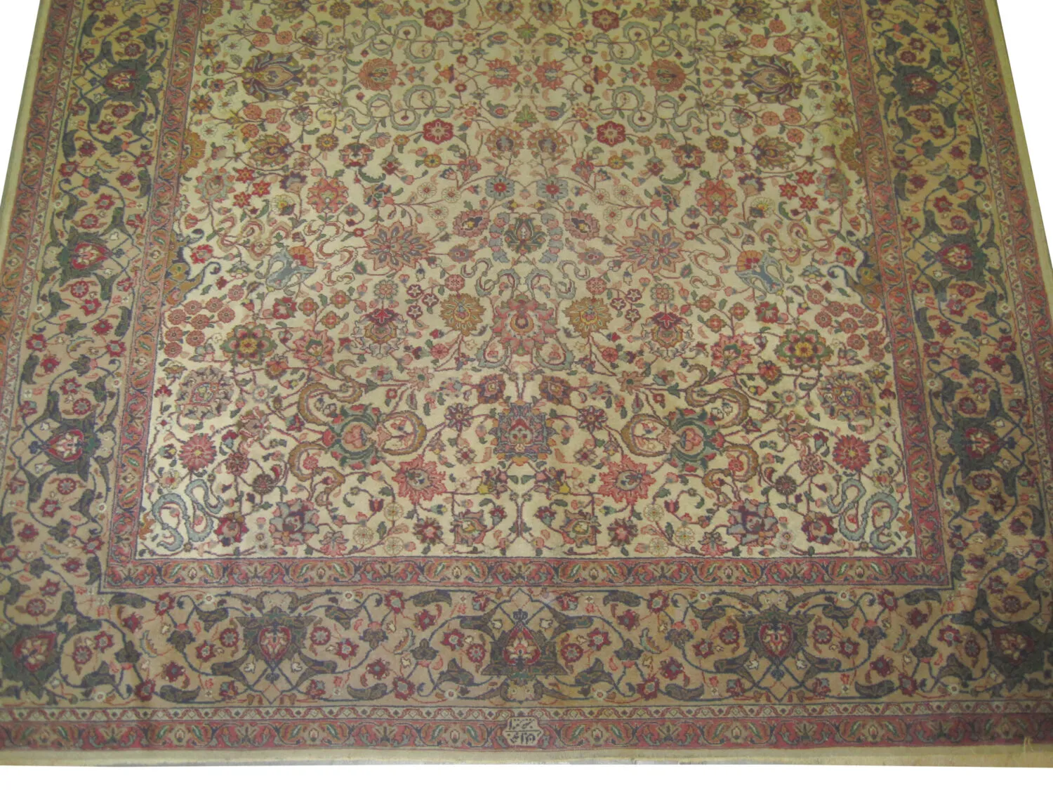 Tabriz Persian - Image 2