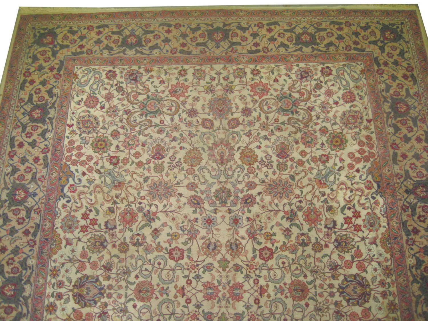Tabriz Persian - Image 3