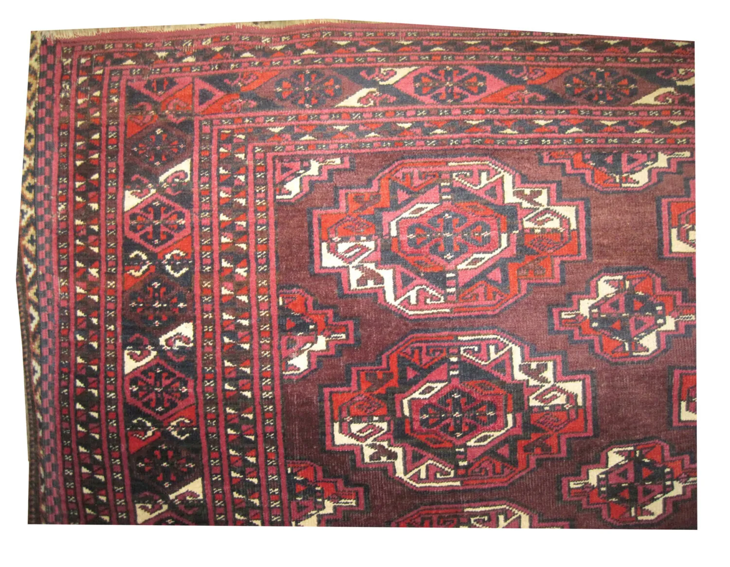 Saryk Turkmen - Image 3