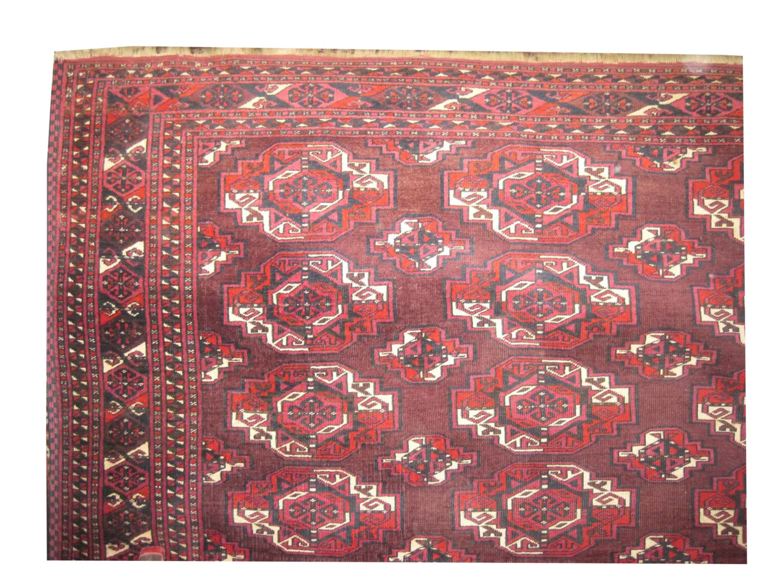 Saryk Turkmen - Image 2