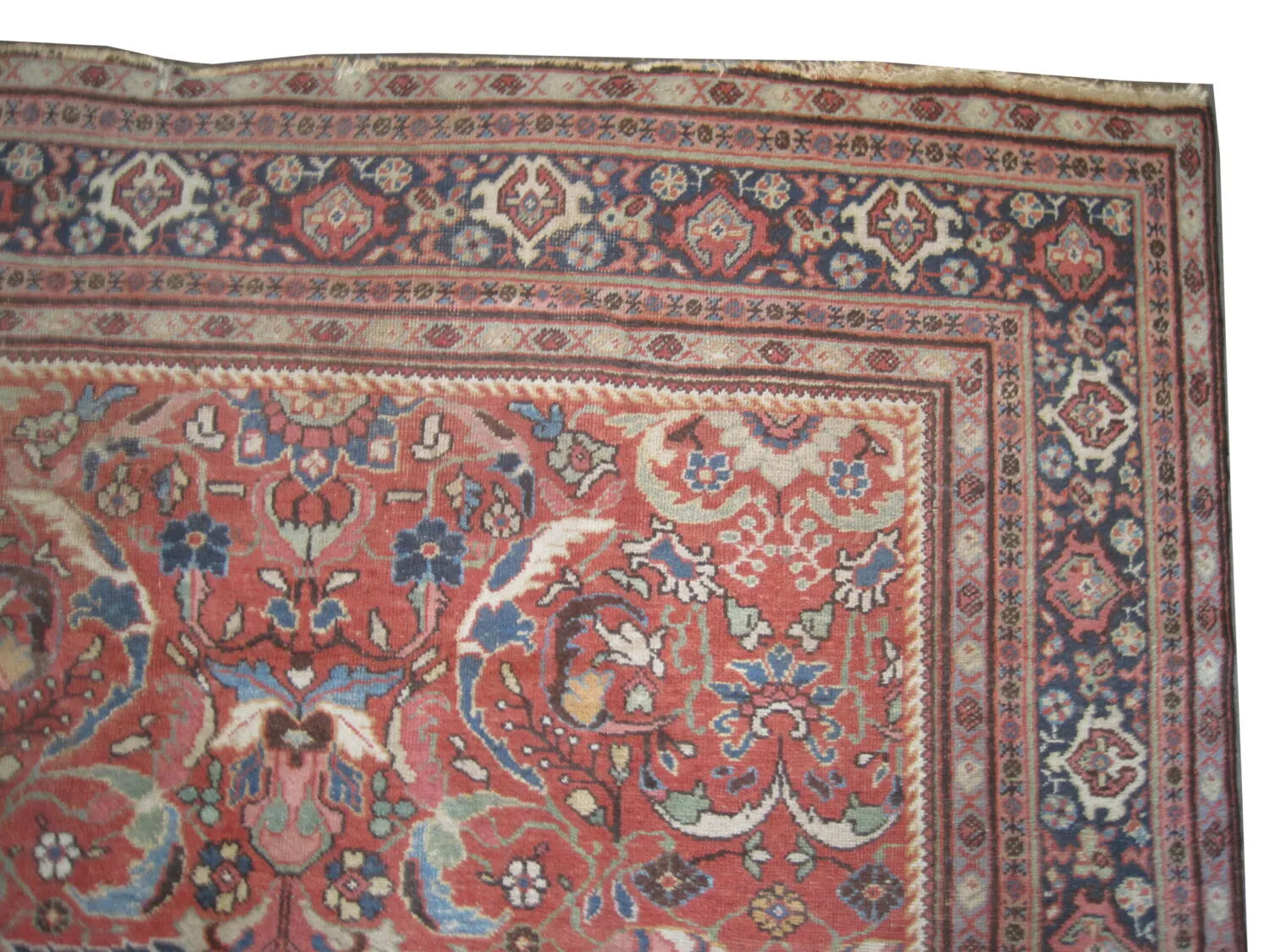 Ziegler Mahal Persian - Image 2