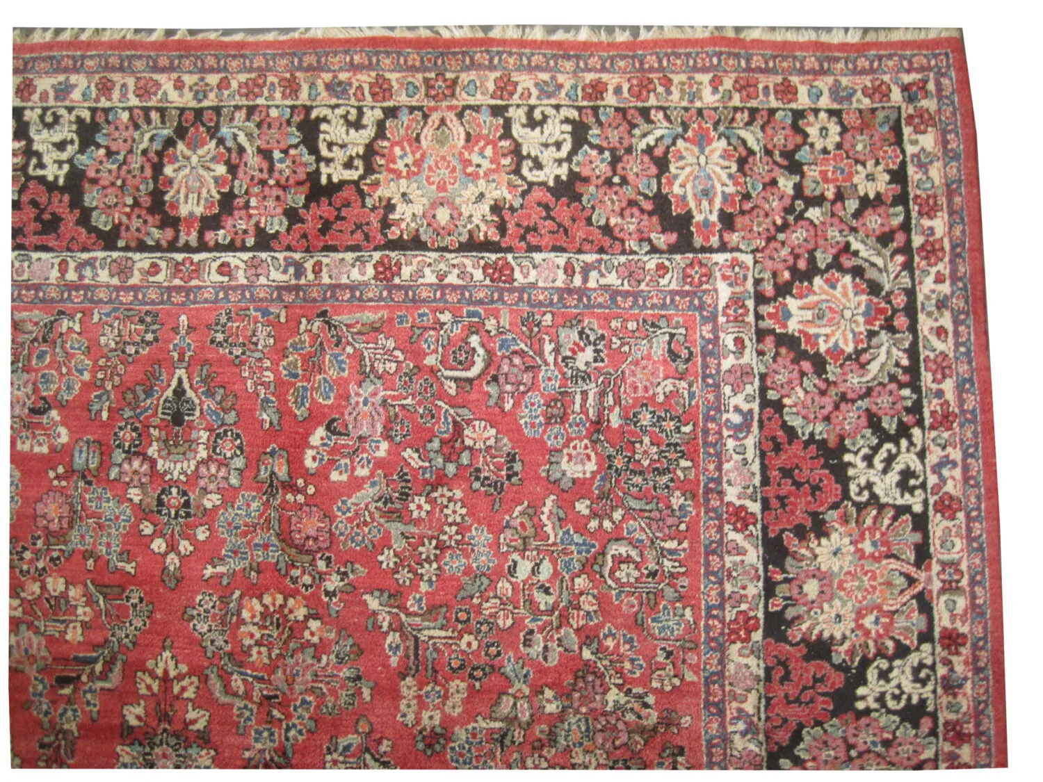 Sarouk Persian - Image 2