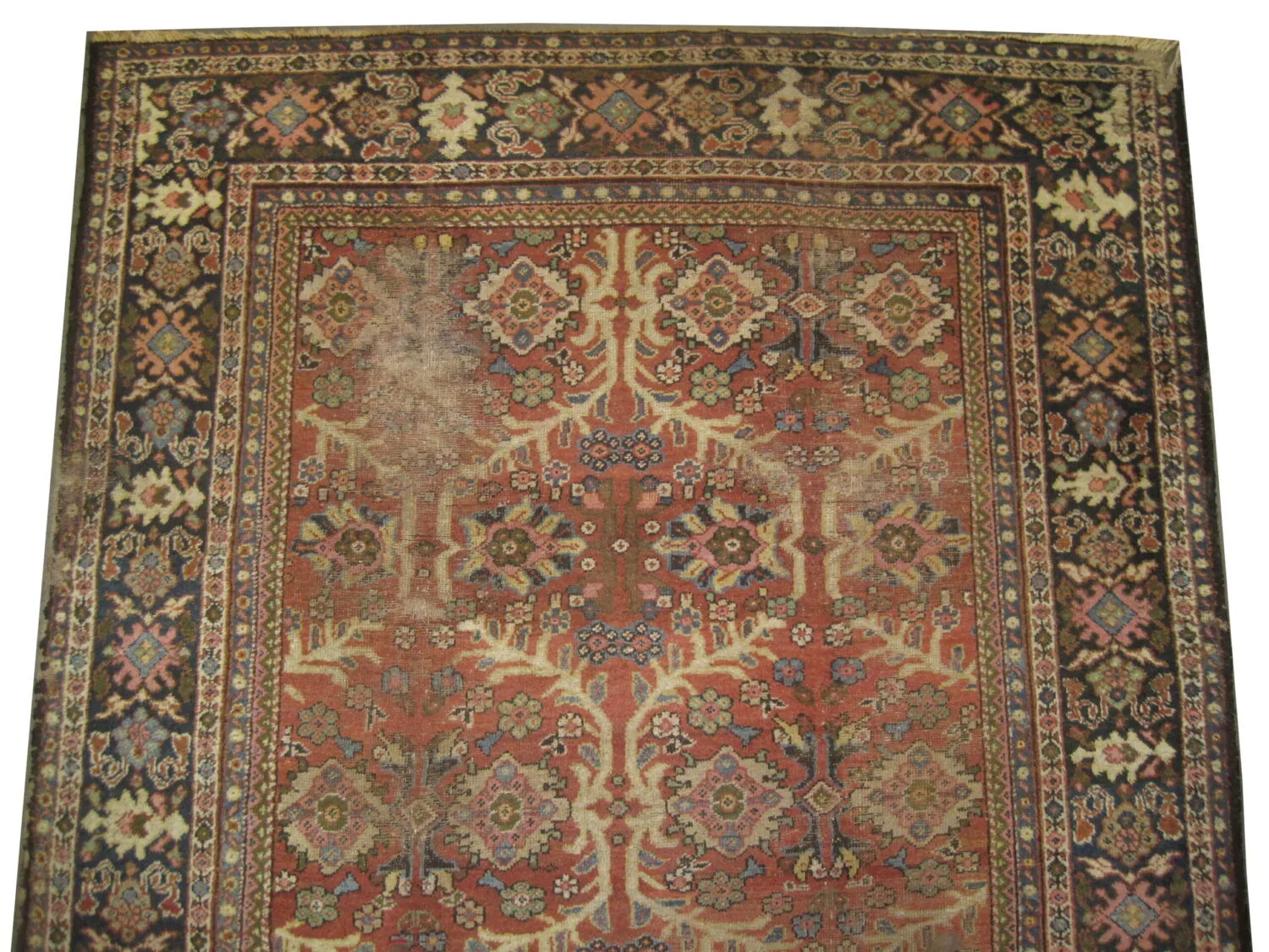 Ziegler Mahal Persian - Image 2