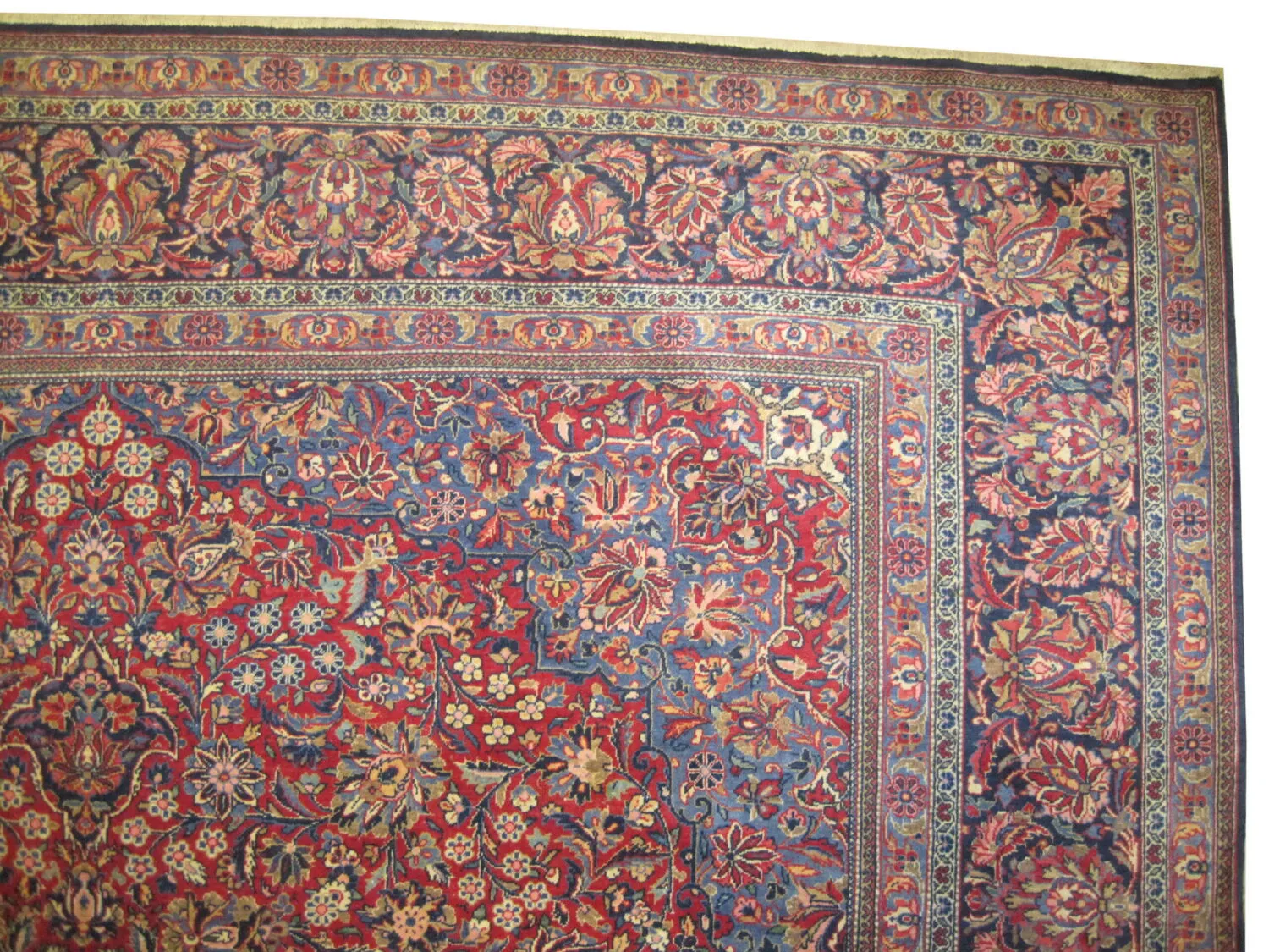 Kashan Persian - Image 2
