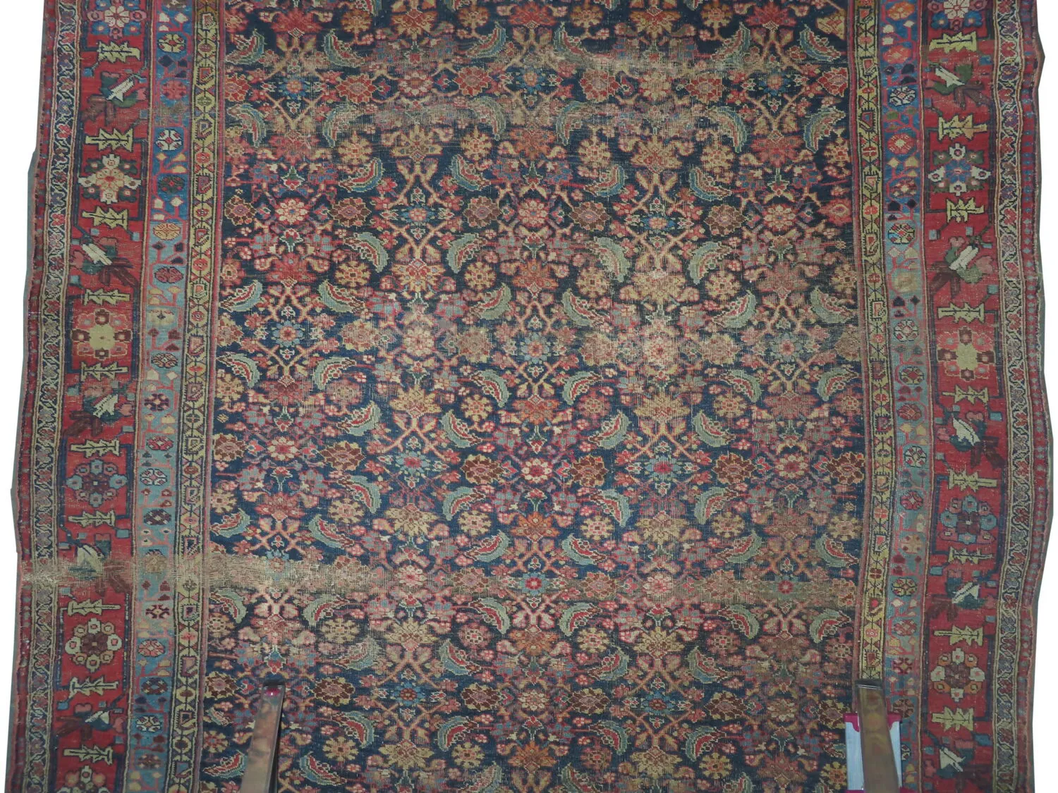 Bidjar Persian - Image 3