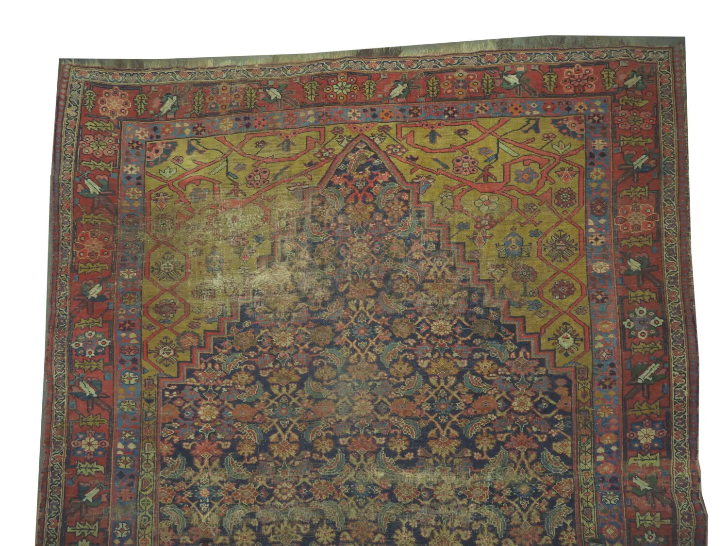 Bidjar Persian - Image 2