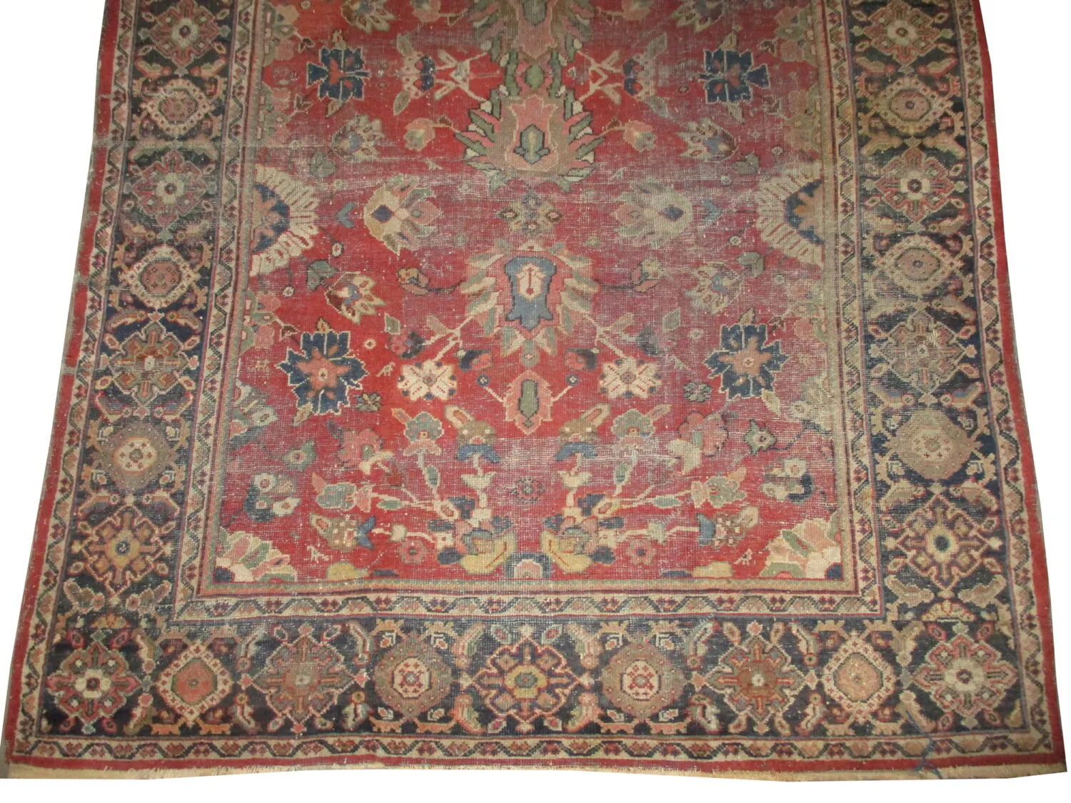 Mahal Persian - Image 3