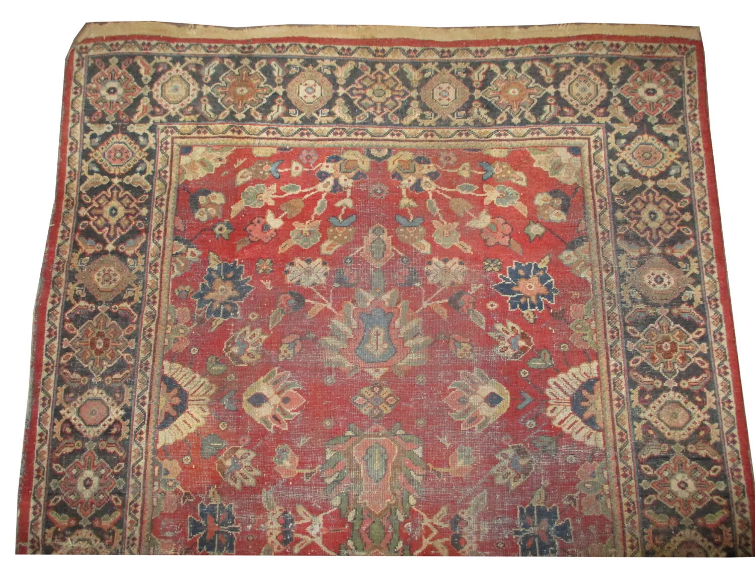 Mahal Persian - Image 2
