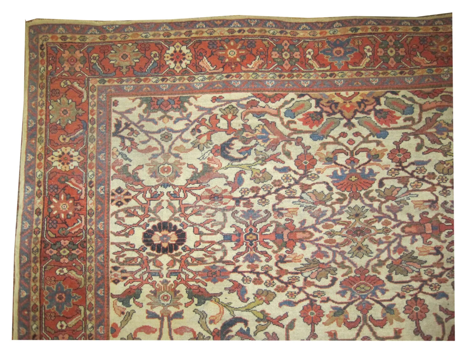 Ziegler Mahal Persian - Image 2