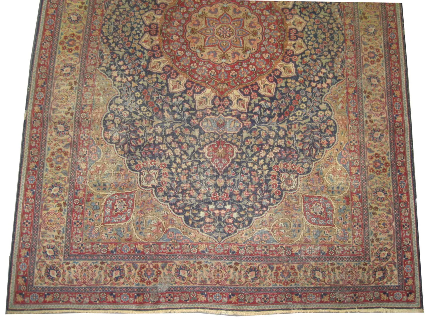 Tabriz Persian - Image 4