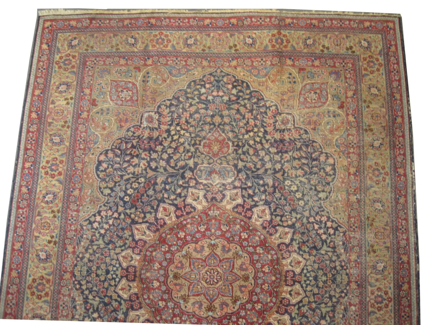 Tabriz Persian - Image 3