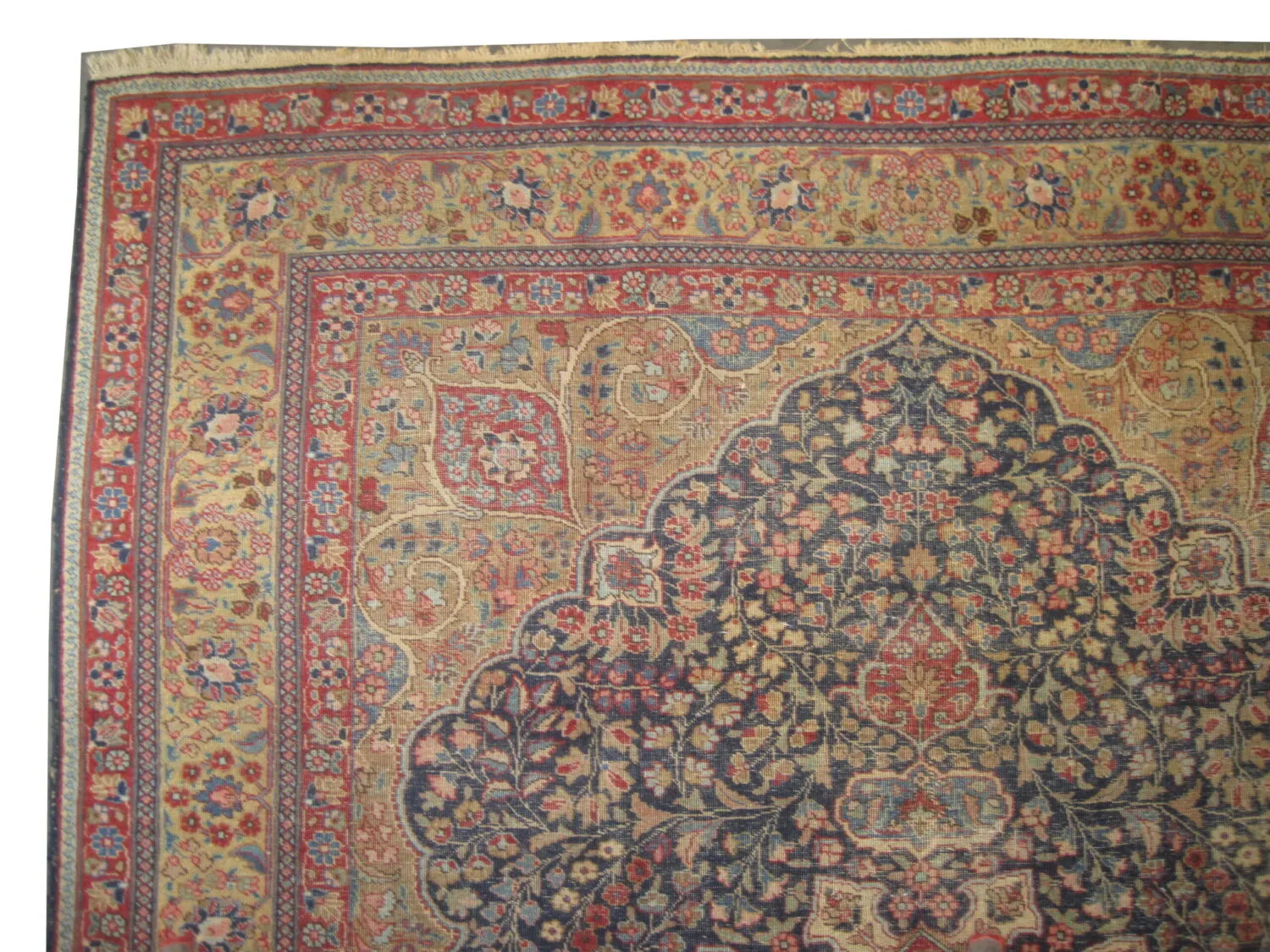 Tabriz Persian - Image 2