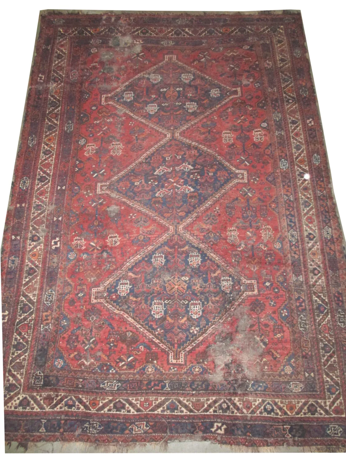 Shiraz Persian