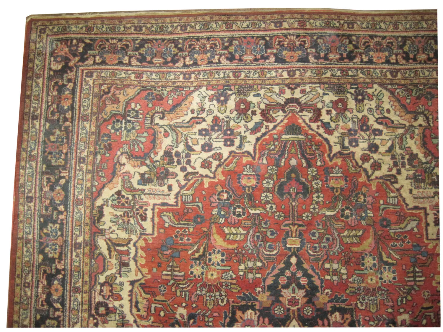 Lilihan Persian - Image 2