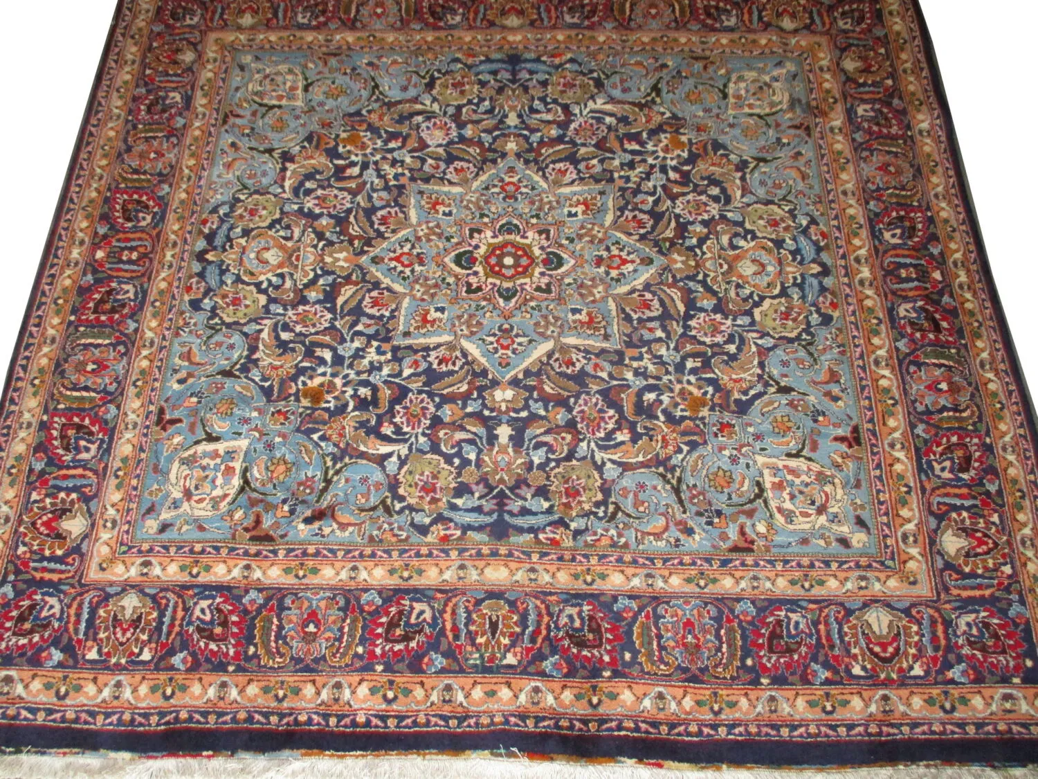 Khorasan Persian - Image 2