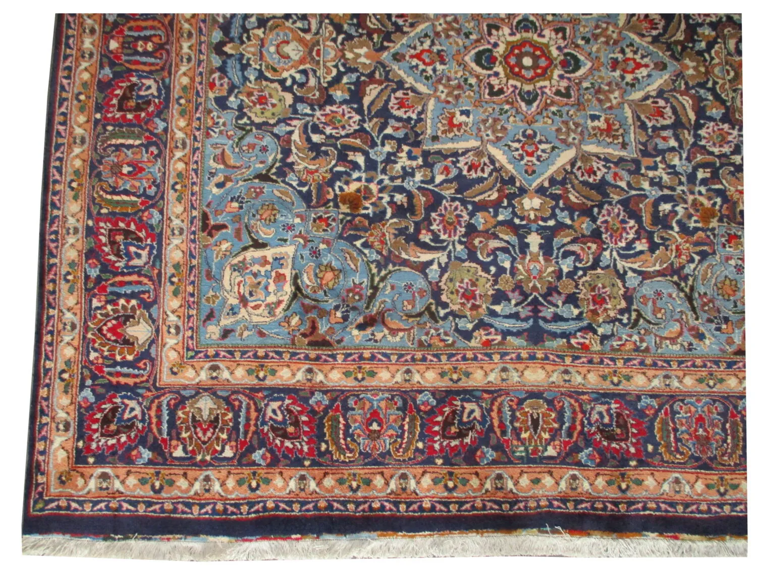 Khorasan Persian - Image 3