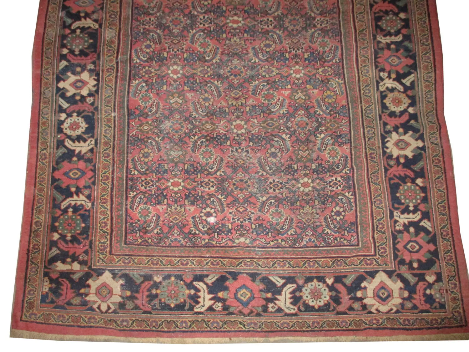 Ziegler Mahal Persian - Image 3