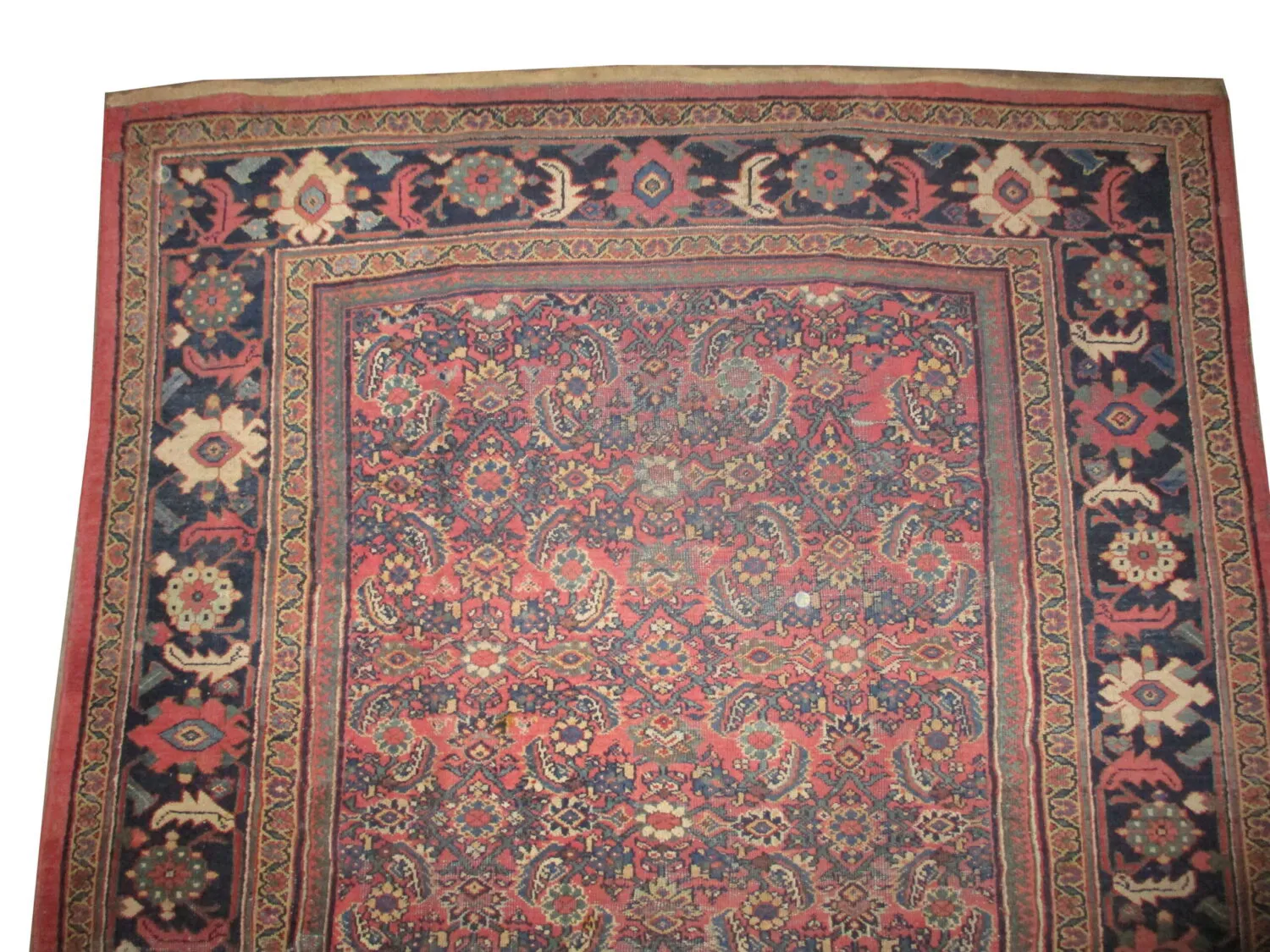 Ziegler Mahal Persian - Image 2