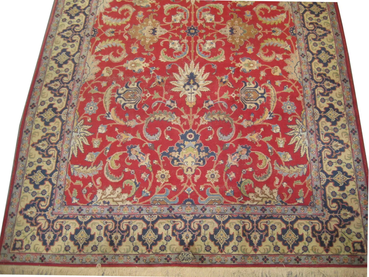 Tabriz Persian - Image 4