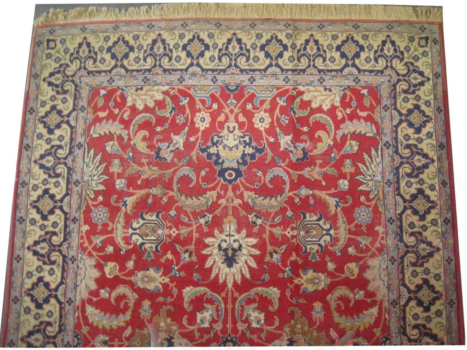 Tabriz Persian - Image 2