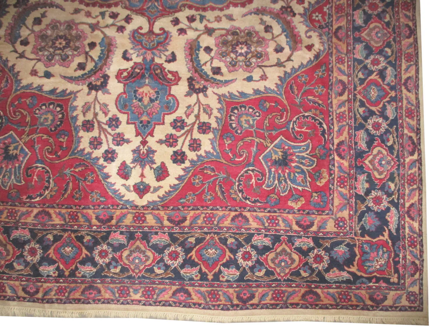 Dorosh Persian - Image 3