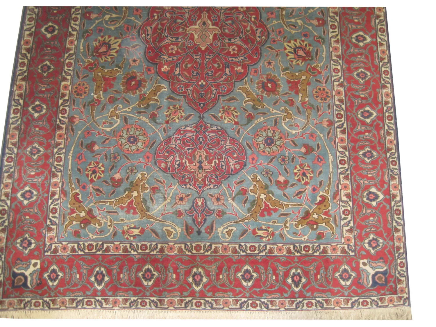 Tabriz Persian - Image 4