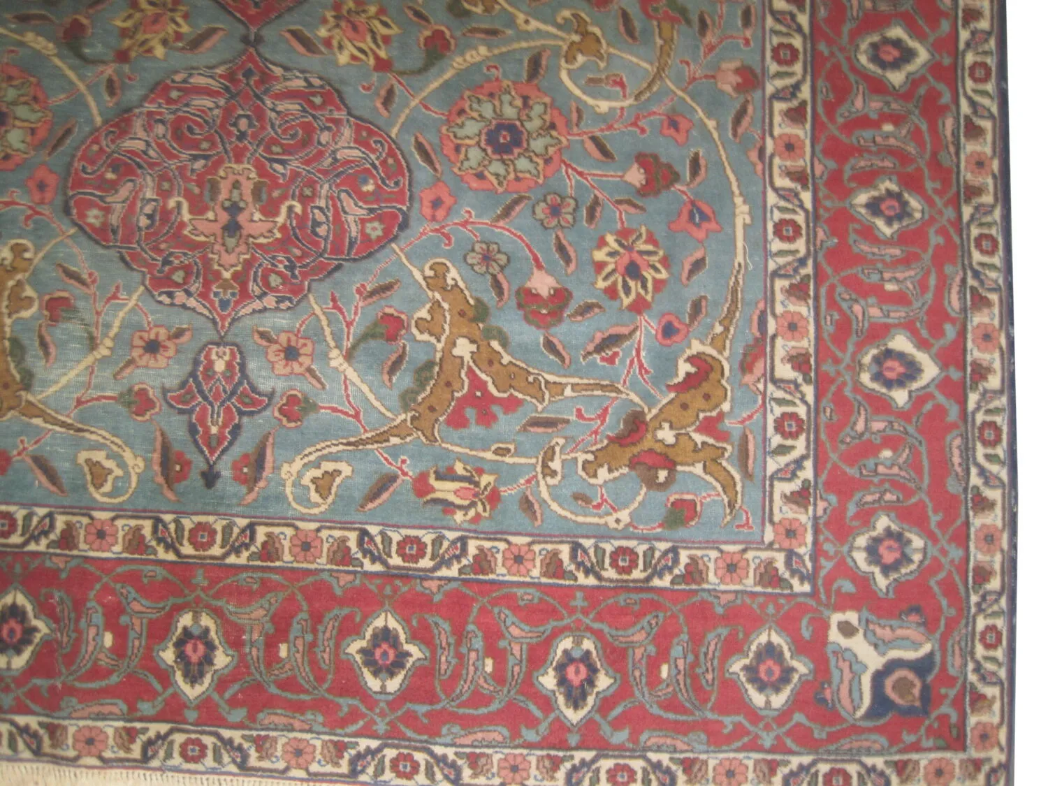 Tabriz Persian - Image 3