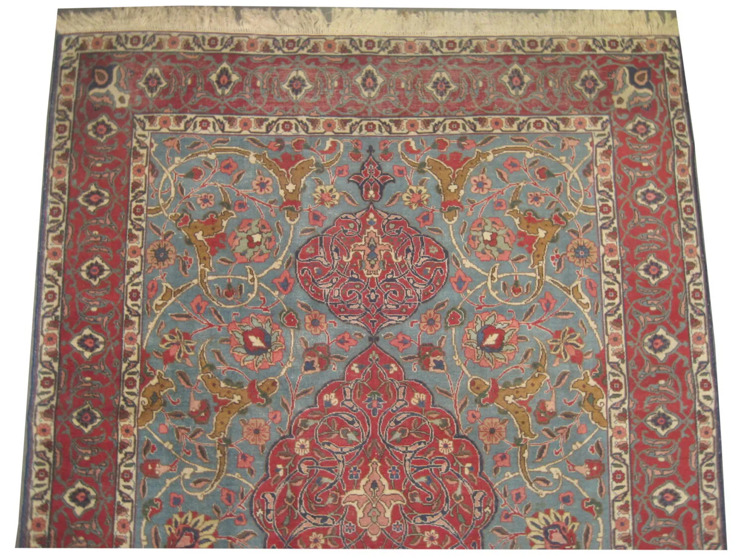 Tabriz Persian - Image 2