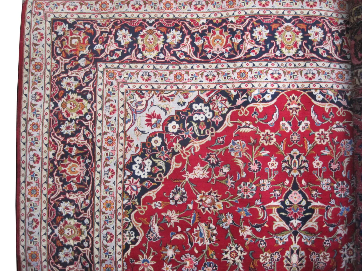 Kashan Persian - Image 3