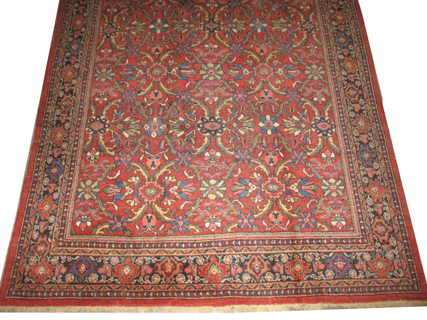 Mahal Persian - Image 3