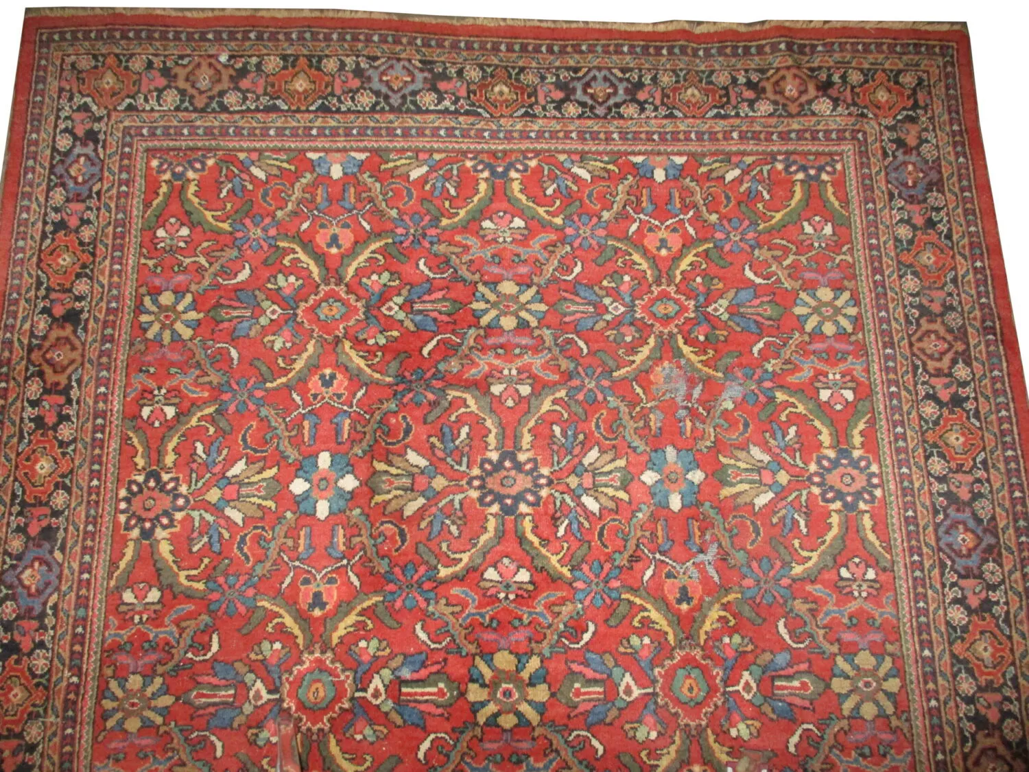 Mahal Persian - Image 2