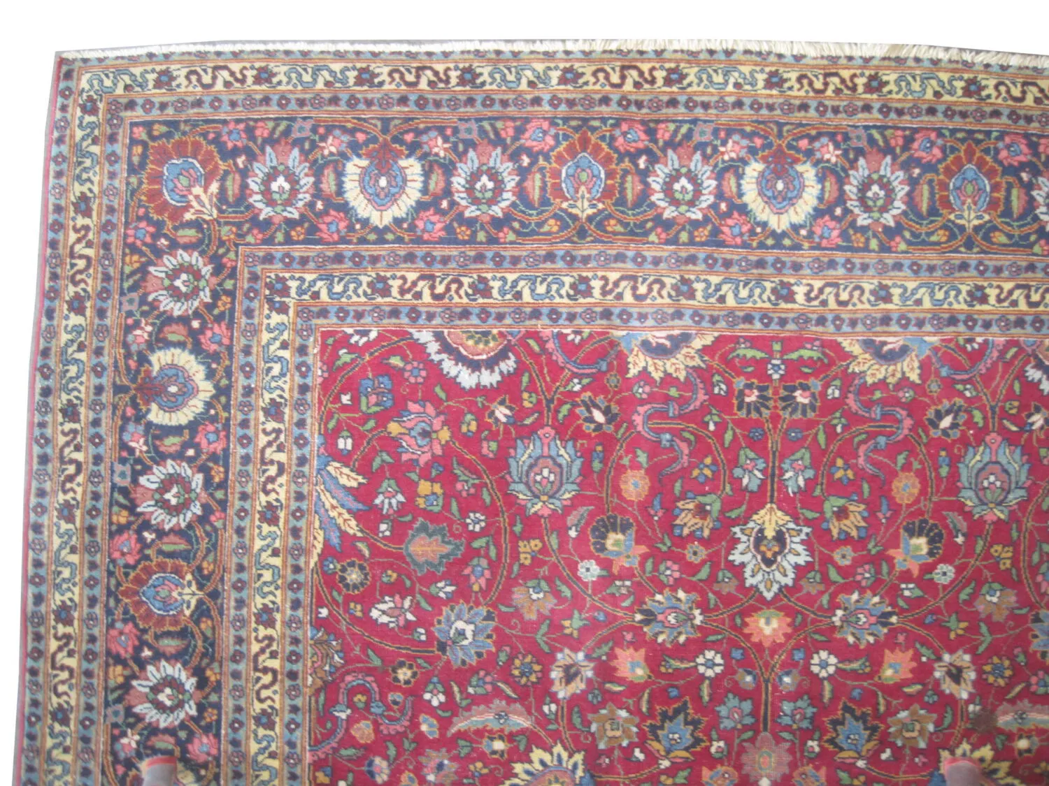 Tabriz Persian - Image 3